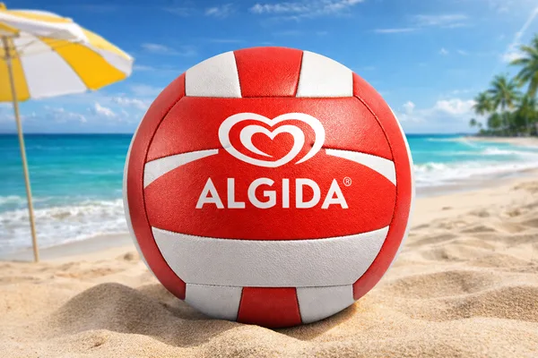 Logolu Promosyon Voleybol Topu — detay